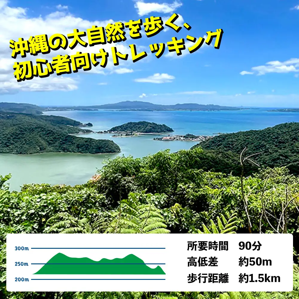沖縄県北部やんばる・ガジュマルの王様に会いに行こう♪【5名様】