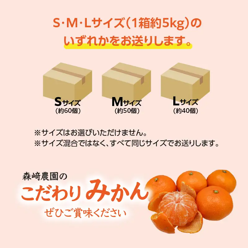 森﨑農園のこだわりみかん 約5kg 極早生～ 早生～蔵出しまで C09023