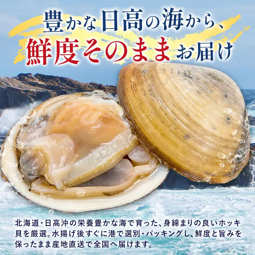 日高産 活ホッキ貝 20個 ひだか漁業協同組合《12月中旬から出荷予定》魚介類 貝 ホッキ貝 活ホッキ貝 ほっき ほっき貝 魚貝 海の幸 海産物 北海道 日高町