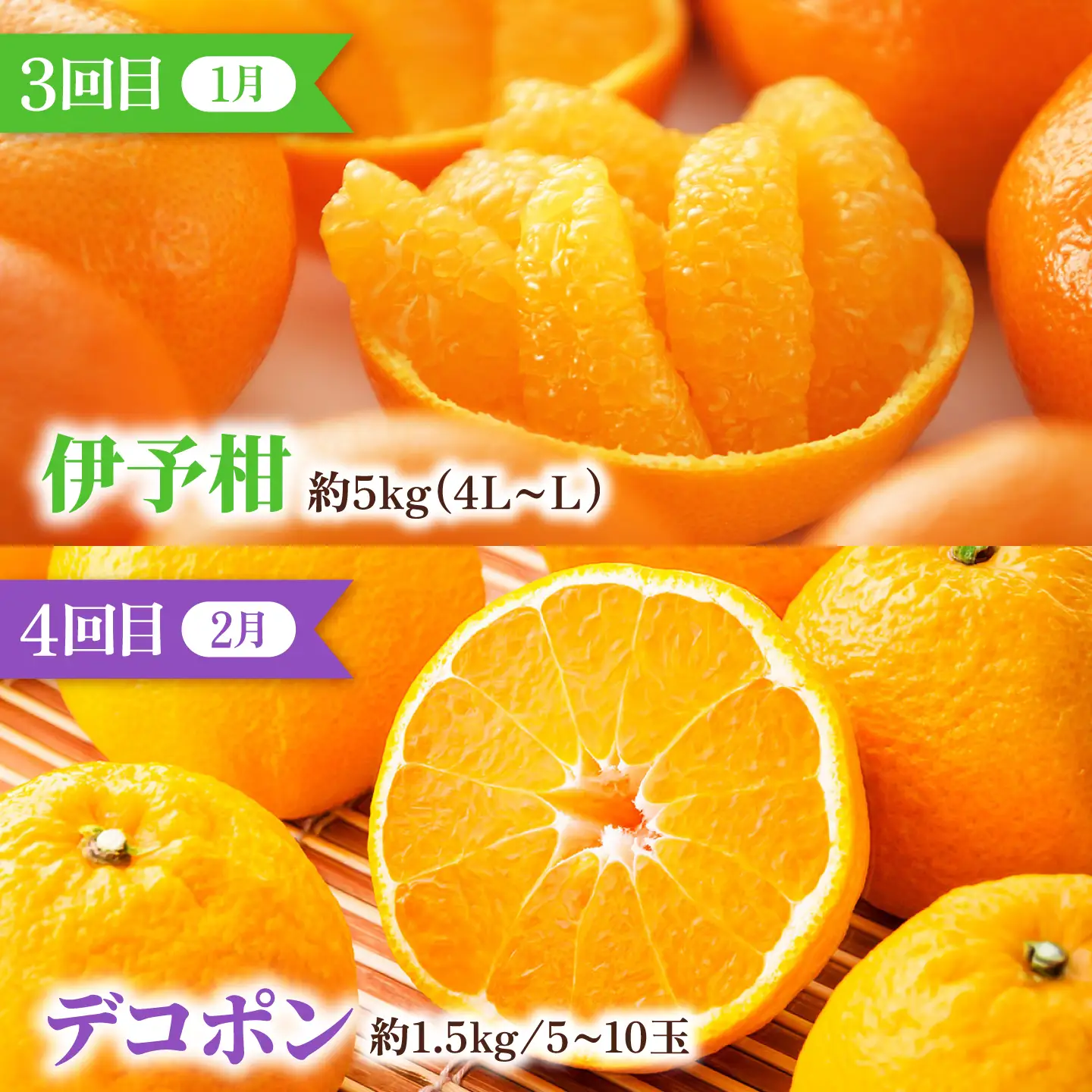 【全6回定期便】みかんえひめの柑橘セレクト定期便 / フルーツ 果物 蜜柑 ミカン オレンジ 小玉 甘い 愛媛 定期便 / 愛媛県砥部町/一般社団法人愛媛県観光物産協会[BJCE001]