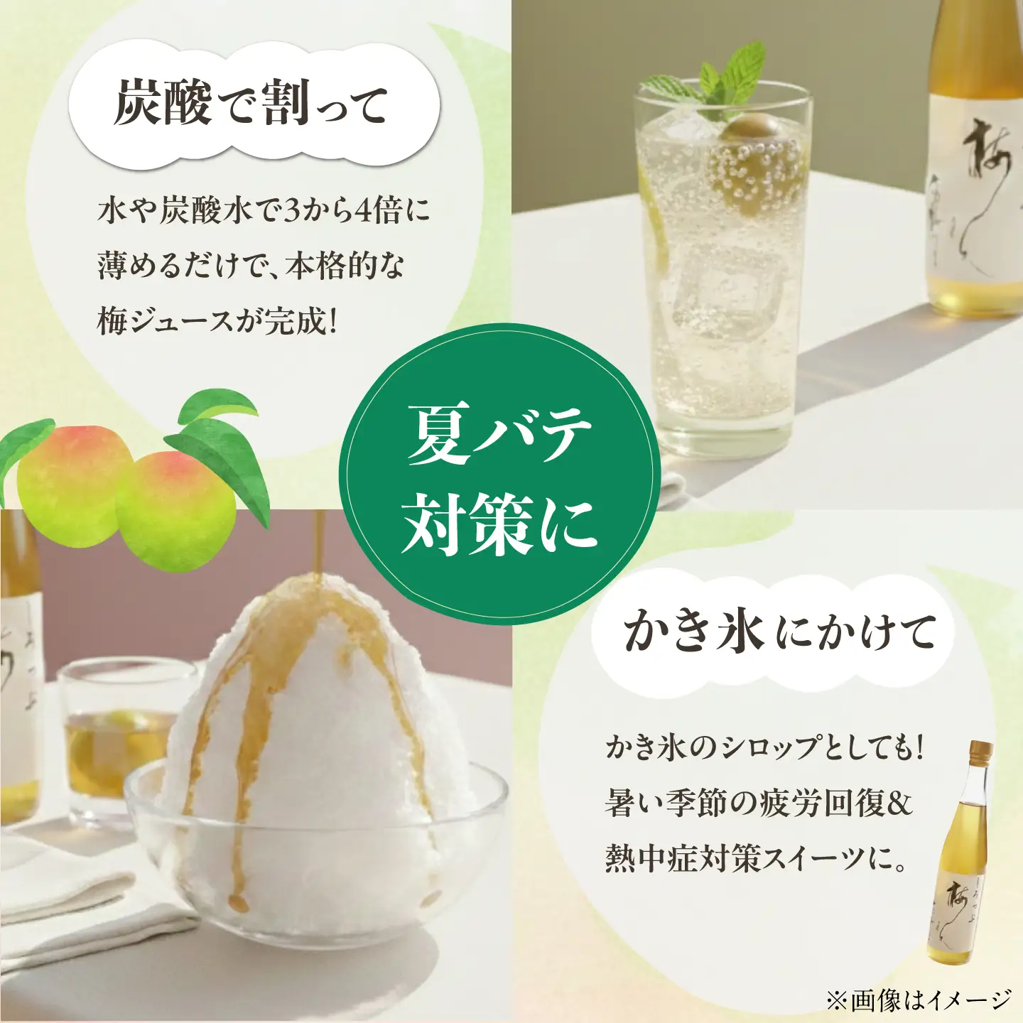 【お中元対象】梅シロップ 七折小梅の梅シロップ 500ml×2本 梅シロップ BJAG001