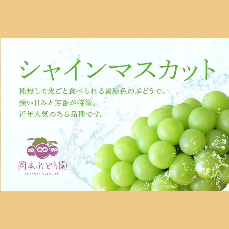 シャインマスカット 約750g【A5-542】