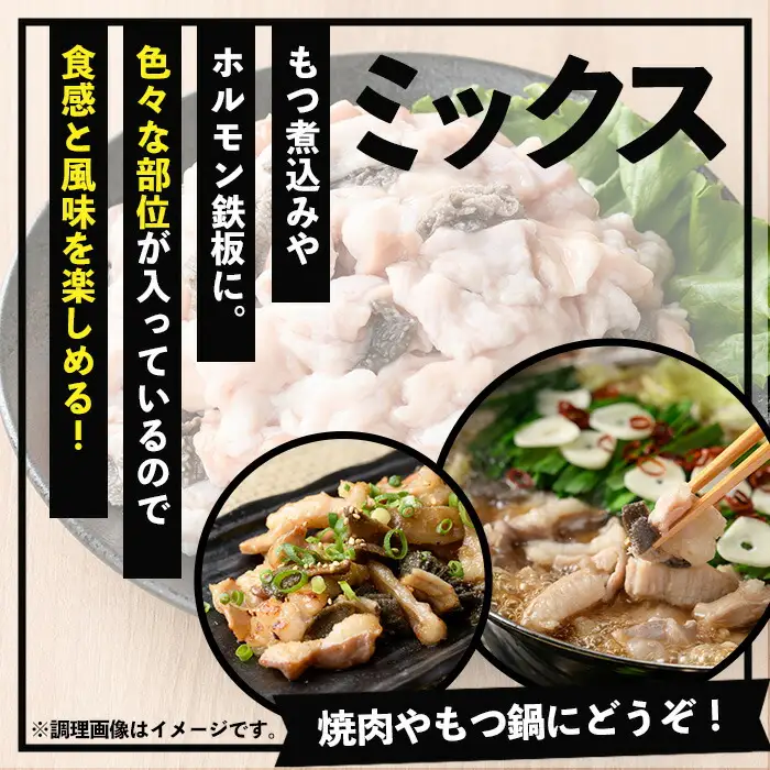 ≪数量限定≫鹿児島県産黒毛和牛ミックスホルモン (計1000g 400g×2＋200g) ホルモン 【00-030-04-L】