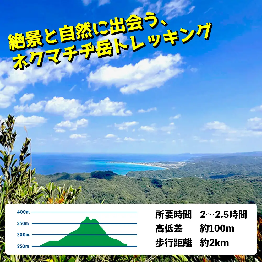 沖縄県北部やんばる・大宜味村最高峰ネクマチヂ岳を登る【3名様】