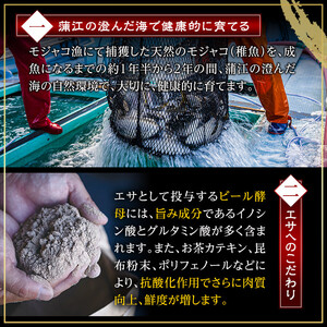 ＜先行予約受付中！2026年11月以降順次発送予定＞豊後ハマチ 若武者(三枚おろし済1尾) ハマチ はまち 鮮魚 旬 刺身 三枚おろし 国産 大分県 佐伯市 特産品【GS002】【浪井丸天水産】