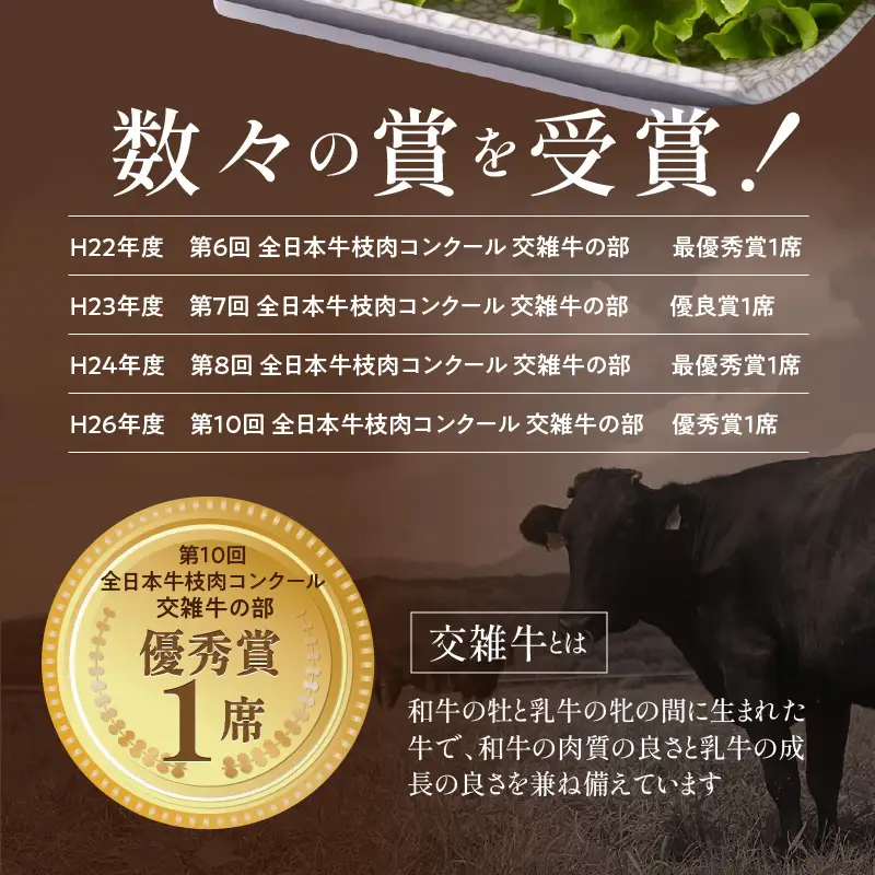 おおいた豊美牛肩ローススライス 600g (300g×2P)_2260R