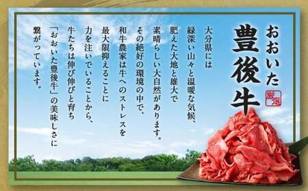 豊後牛 切り落とし 約400g 牛肉 国産 大分県産