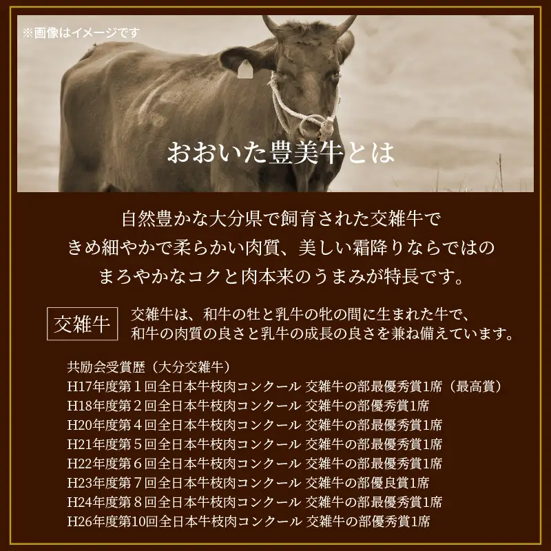 おおいた豊美牛切り落とし 600g (300g×2P)和牛 切落し 国産 和牛 大分県産 和牛_2264R