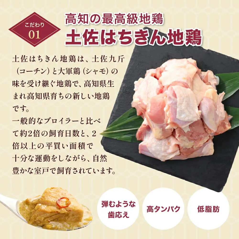 土佐はちきん地鶏 グリーンカレー 3箱 180g チキンカレー おすすめ curry かれー かれーらいす 惣菜 おかず 夕食 詰め合わせ セット レトルトカレー レトルト食品 ご当地グルメ 国産 地域限定 カレー 人気 カレー 辛口 カレーセット 高知県 室戸市