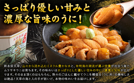 甘塩粒うに 1本（90g) うに
