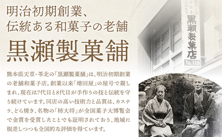 【ふるなびWEEK対象】どら焼き 詰め合わせ 6種 12個 黒瀬製菓舗