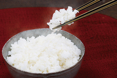 【定期便3回】令和6年度産  こしひかり 6㎏ 合計18kg