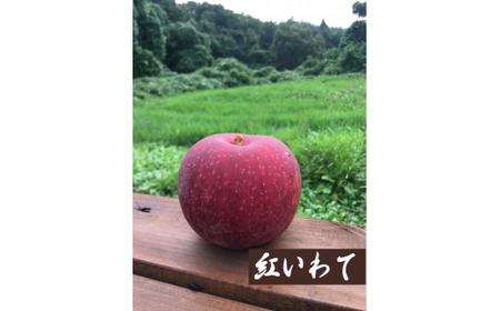 10月りんご２種詰め合わせセット 約5kg （12～15玉）　【1705】