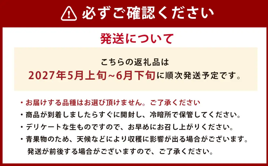＜ R8年熊本地震復興支援 ＞熊本県産 小玉すいか 2玉 スイカ 果物 フルーツ くだもの 西瓜【2027年5月上旬～6月下旬迄順次発送予定】