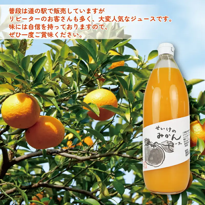 みかん ジュース 1,000ml×6本 清家 ジュース H028-170002
