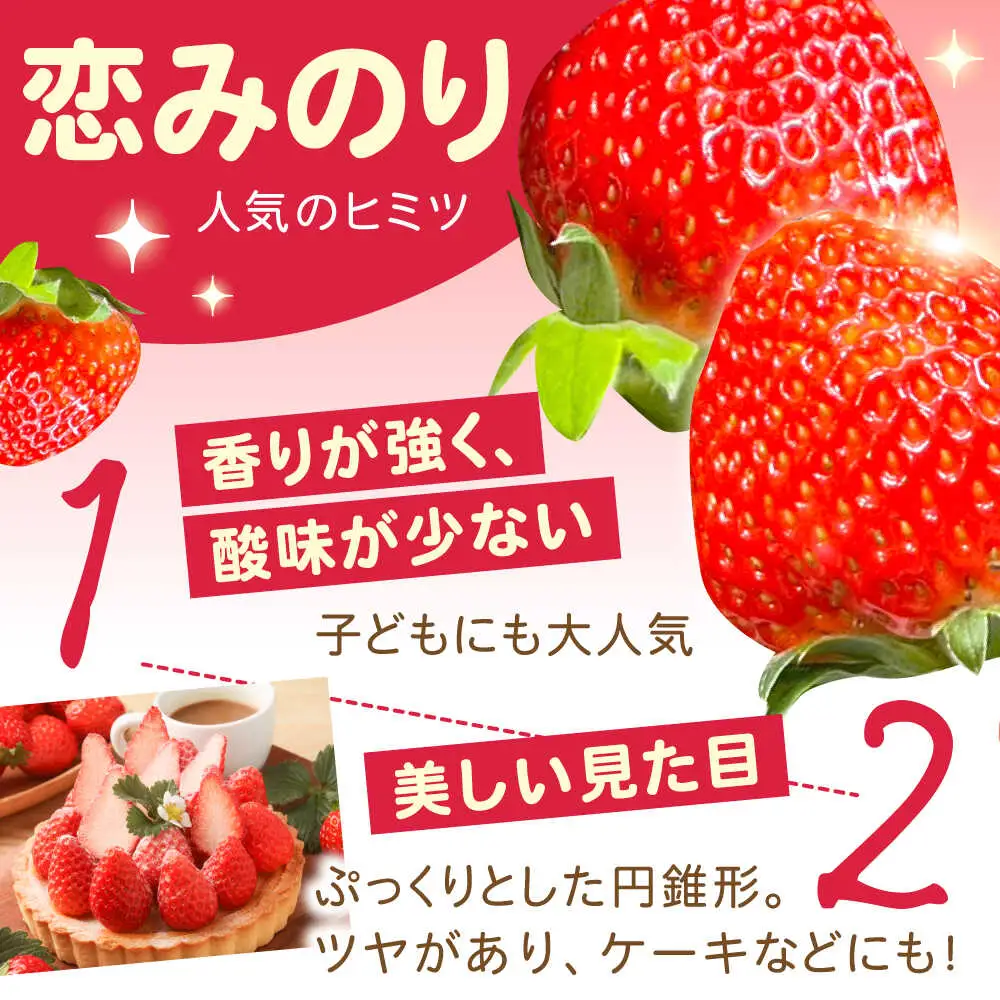 【2027年1月-発送】 250g×4P 恋みのりいちご [SFF001] いちご