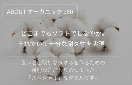 【4/26 土曜はナニする!?で紹介されました！】オーガニック960　フェイスタオル　２枚セット（アイボリー）　[I000870IV]