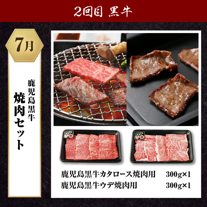 鹿児島 黒牛 ・ 黒豚 定期便 （ 全3回 ） K127-T02 肉 豚肉 牛肉 冷凍