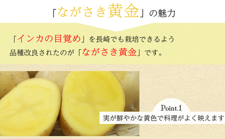 BH049 じゃがいも 希少品種 ながさき黄金 S?2Lサイズ混合 約10kg