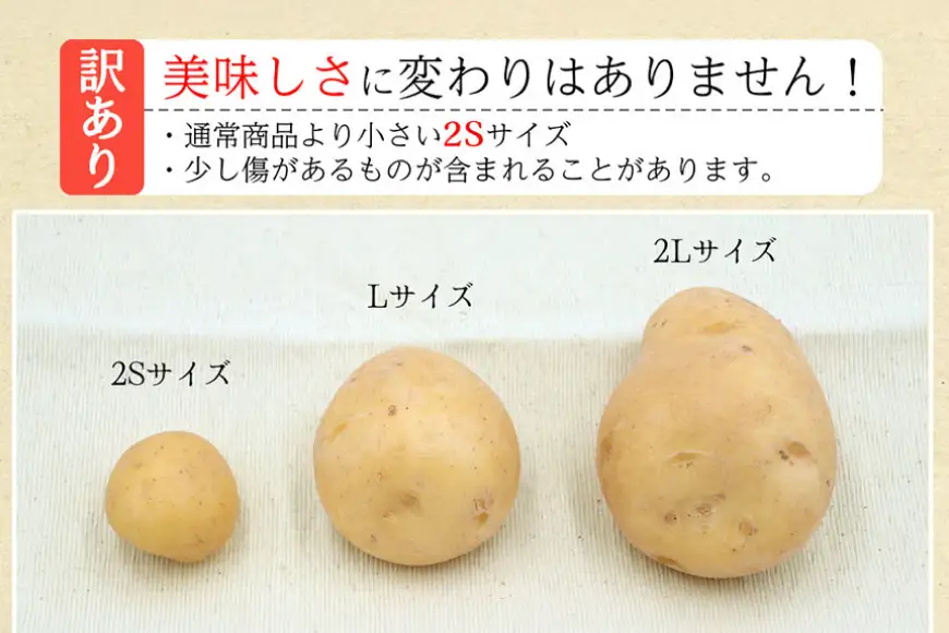BH050 じゃがいも 訳あり ながさき黄金 出島 約5kg