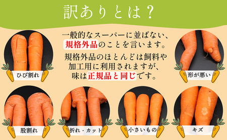BH052 人参 訳あり 堀農園のこだわり人参 約10kg