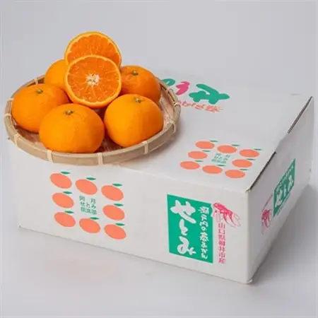 【山口県ブランド】せとみ　22～24玉(約4.5kg)_果物・フルーツ  柑橘 _【1432238】