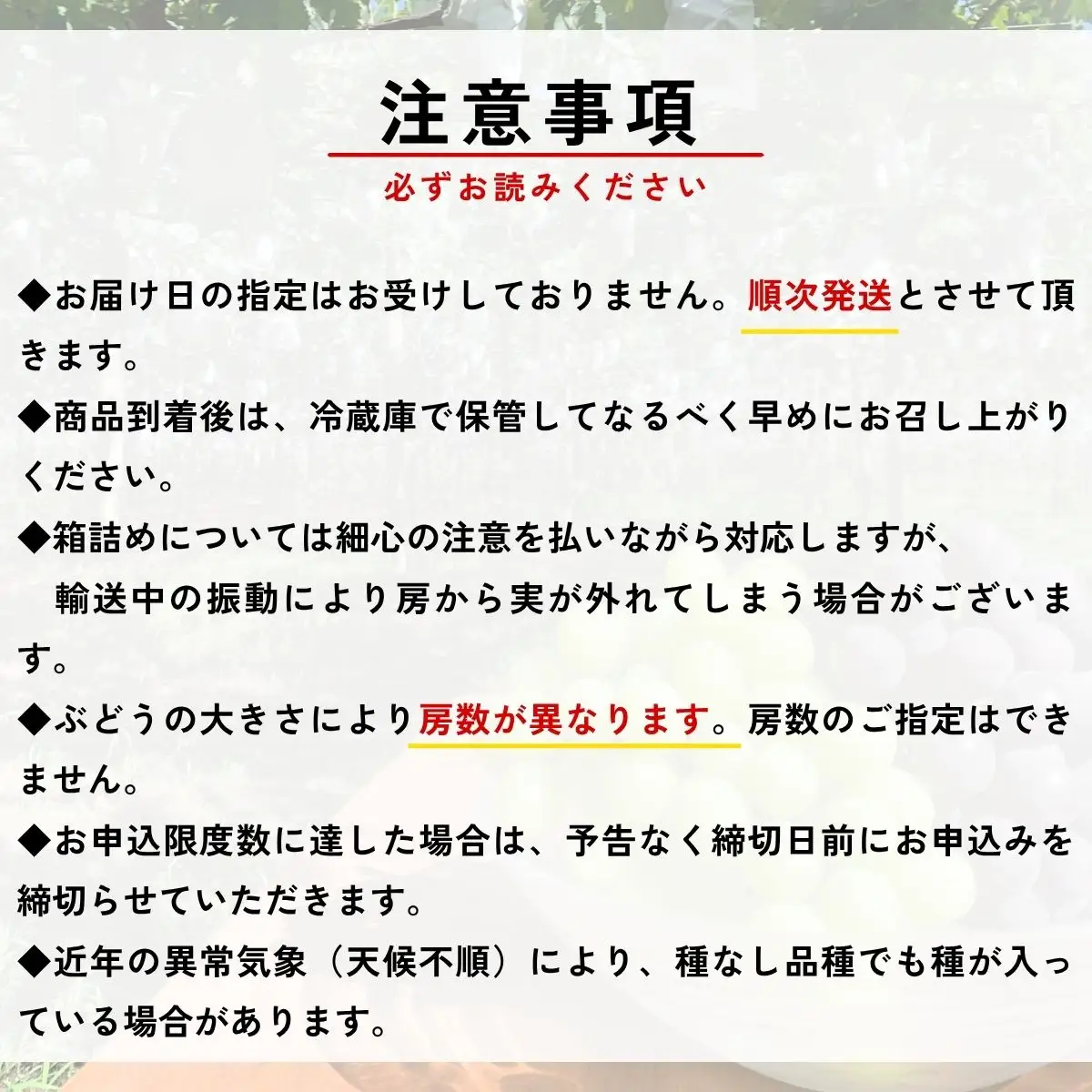 【農家直送（収穫日に発送）】種無し 巨峰 約1.3ｋｇ （2～3房）