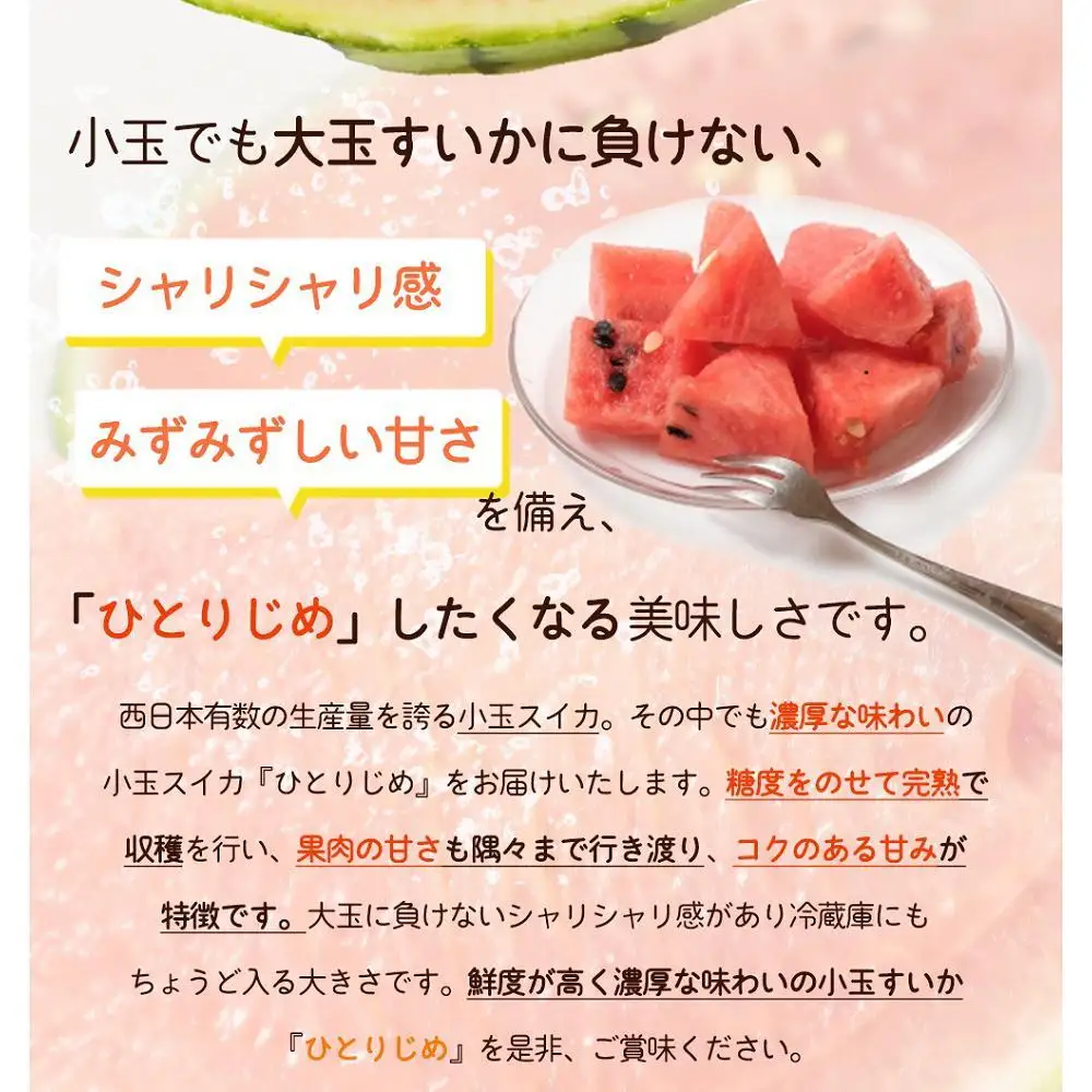 紀州和歌山産 小玉スイカ「ひとりじめ」 1玉［2027年6月中旬頃～2027年7月上旬頃に順次発送］［UT85］