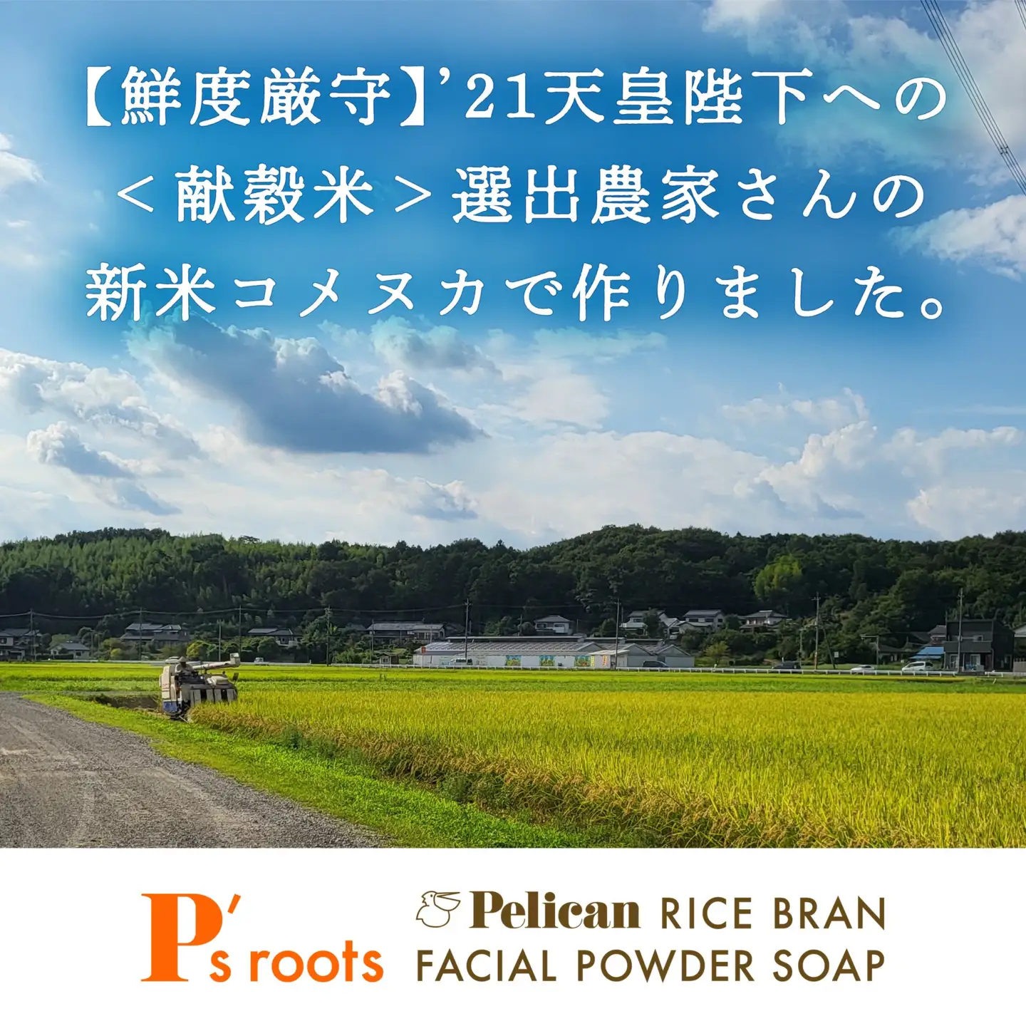 【ペリカン石鹸】ピーズルーツ　米ぬか酵素洗顔パウダー　【11218-0579】
