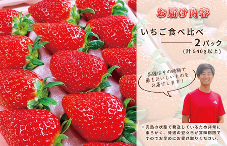 【先行予約】完熟新鮮 いちご 食べ比べ 2パック 合計540g以上
