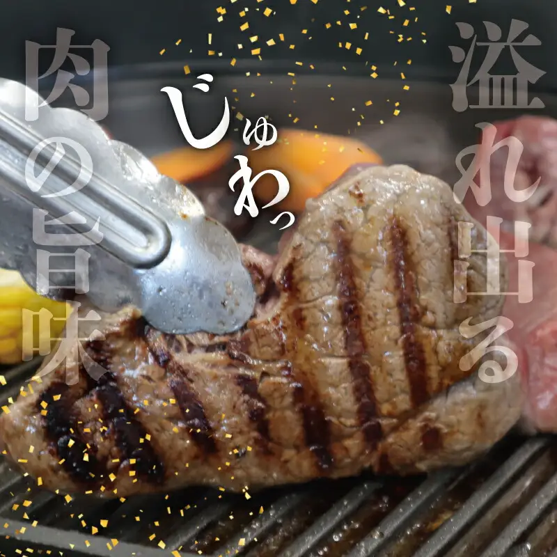 松阪牛 600g(4枚) ヒレステーキ松阪牛 E2