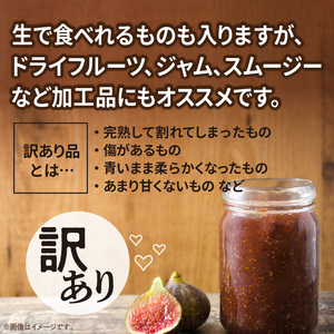 SDGs米糠循環農法で育てた樹上完熟イチジク　訳あり品1キロ以上（サイズ混合18個）【産地直送2026年8月より順次出荷】_イチジク 訳あり品 1キロ 以上 サイズ 混合 18個 SDGs 米糠循環農法 樹上完熟 露地栽培 桝井ドーフィン ドライフルーツ ジャム スムージー 福岡県 久留米市 酒見農産 お取り寄せグルメ お取り寄せ 送料無料 産地直送  〔Gv042〕