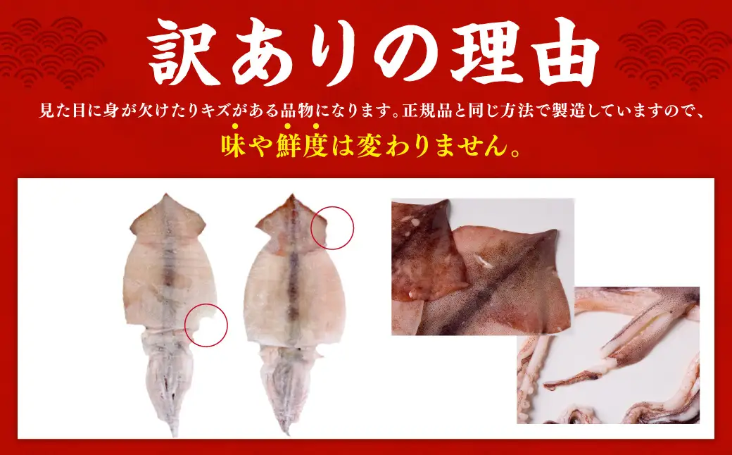 【訳あり】するめいか一夜干し 6～7枚 計900g 魚介類 いか するめいか 一夜干し 加工品 おつまみ 訳あり するめいか 【136_1988】