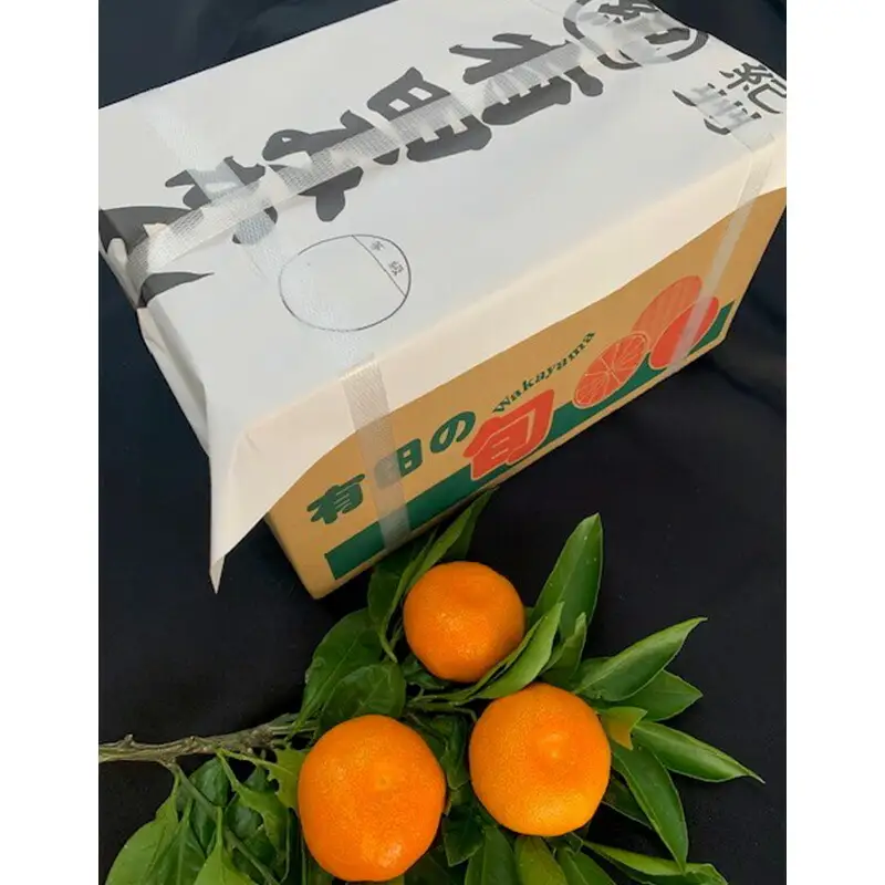 【2027年先行受付】訳あり 有田みかん 10kg 2S～Lサイズ 混合_BF6045n