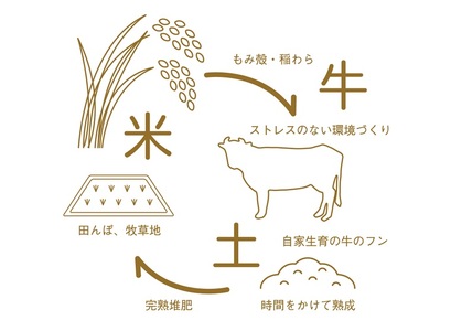 【精米】令和7年産 甚乃米 ひとめぼれ 10kg 白米 精米 AC023