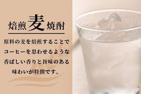 A-173【焙煎麦焼酎】魔女の悪戯 720ml【光武酒造場】 焼酎 麦焼酎