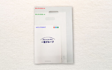 地球にやさしい持ち手付き袋 B4 白（1冊50枚入）3冊セット[AGBR085]