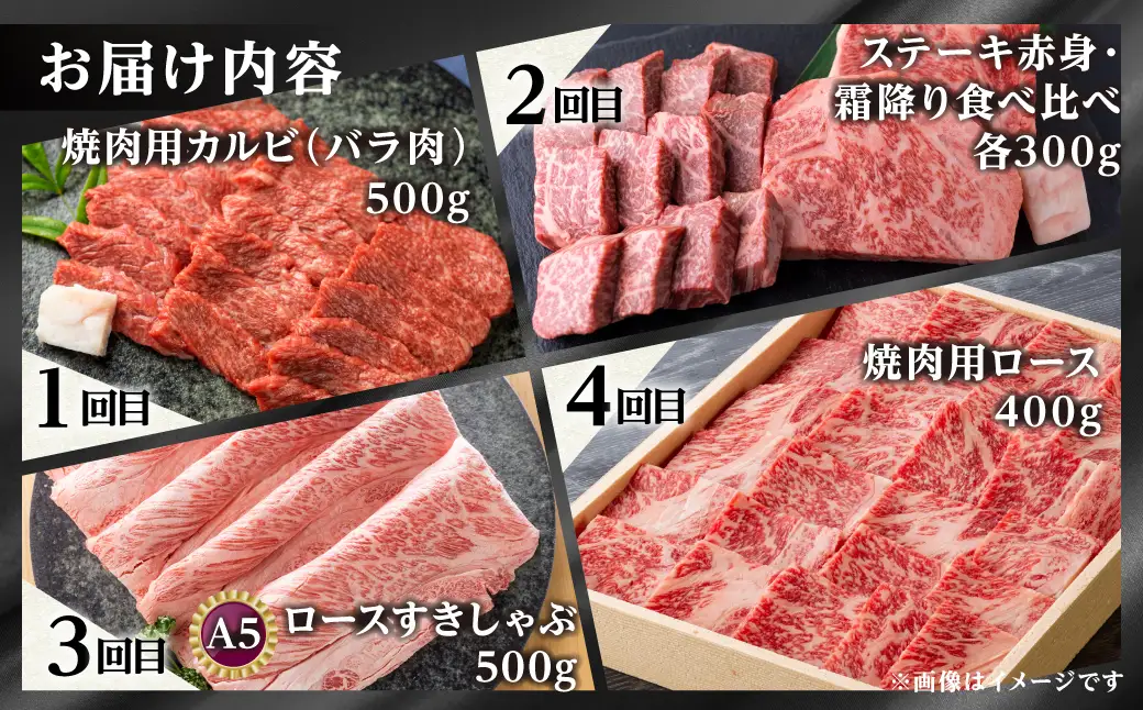 【まるごと定期便】 飛騨牛三昧 全12回 お届け 定期便 [S524]