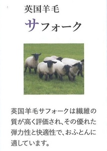 マチ付ボリューム 英国羊毛敷ふとん シングルロングサイズ ブルー K04K55EMB｜ボリューム 敷布団 通気性 吸湿発散 冬は暖かく 夏は涼しい [3878]