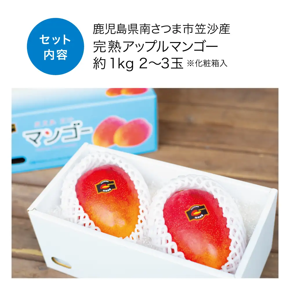 【7月中旬出荷開始】鹿児島県産 完熟アップルマンゴー 約1kg（2～3玉）贈答品用 ギフト 果物 フルーツ 国産 鹿児島県南さつま市産 有限会社秀美園