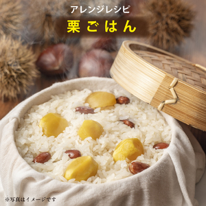 栗 【ブランド栗】須木栗 2Lサイズ以上 2kg 生栗 