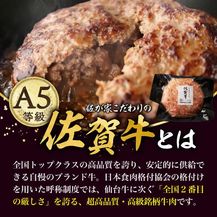 佐賀牛 若楠三元豚 ハンバーグ 食べ比べセット 計8個 /ナチュラルフーズ [UBH051] ハンバーグ