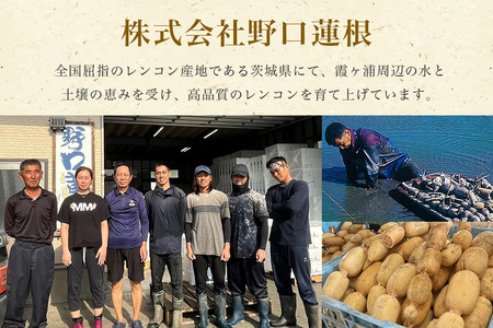野口誠の蓮根 約4kg れんこん レンコン 蓮根 野菜 国産 期間限定 57-A