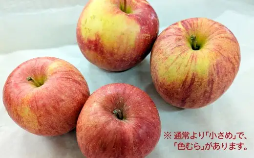 【先行予約】数量限定・期間限定 R8年産【陽気な母さんの店】訳ありりんご「ふじ」（5kg）　50P009001【陽気な母さんの店 】