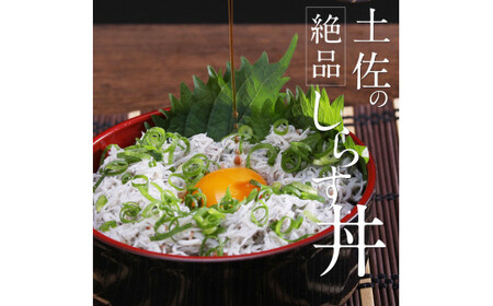 上物釜揚げシラス500g 高知県産 