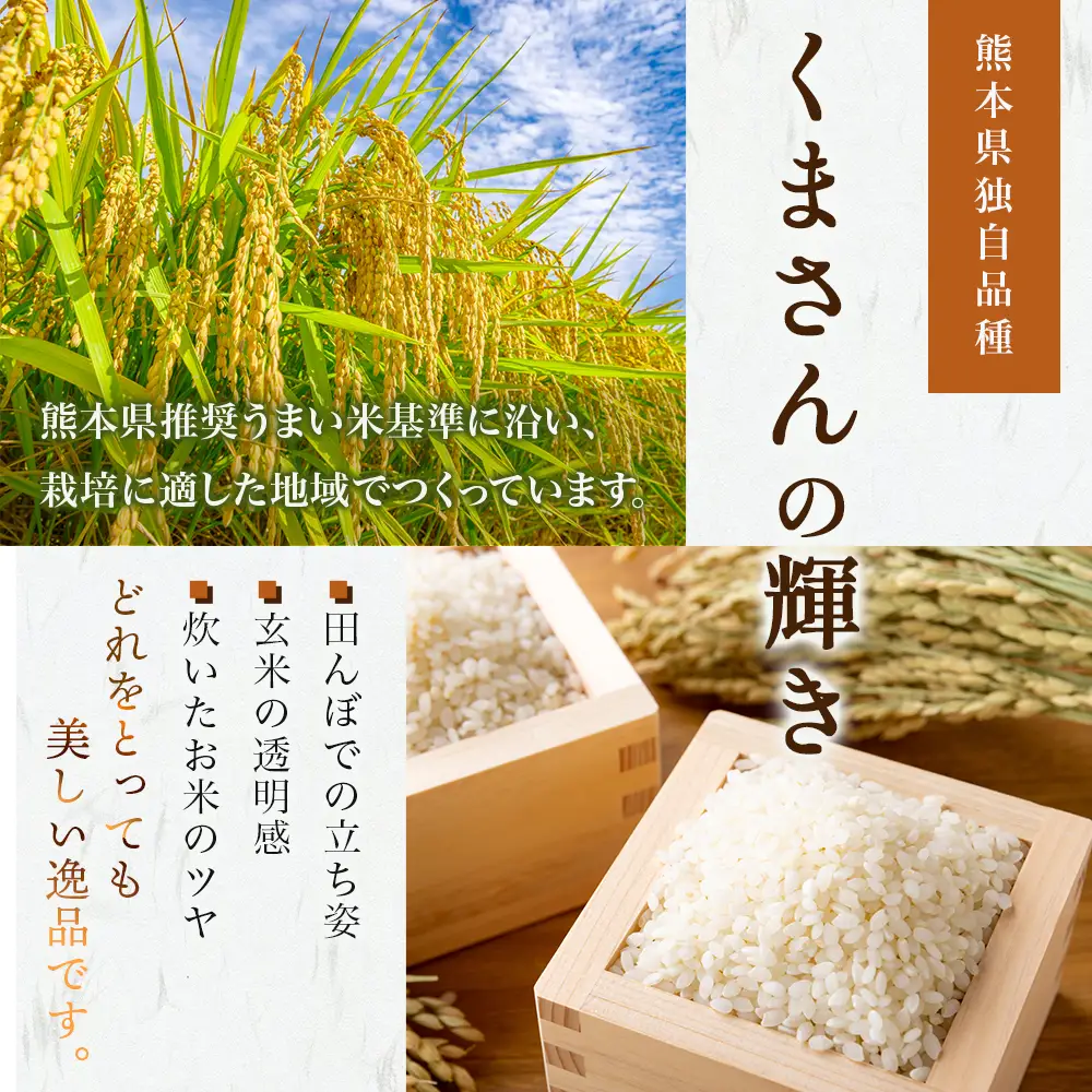 【R7年産米】多良木町 産『くまさんの輝き』 10kg ( 5kg×2袋 ) 精米 10月中旬～発送 熊本県 たらぎ お米 米 艶 粘りおこめ 甘み うま味 熊本の 米 10キロ 044-0586