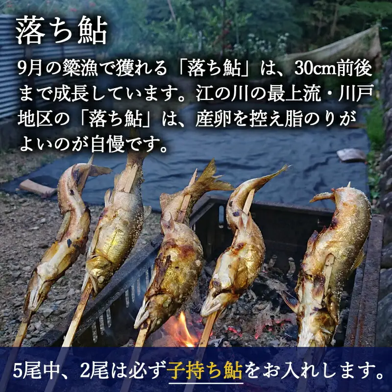 《先行予約》 鮎 アユ 天然 冷凍 4匹 秋あゆ 落ち鮎 広島 江の川の天然鮎 簗漁鮎 季節限定_KA088_001