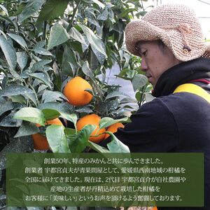 ＜愛媛県西予市産 甘平 約2.5kg（約7～15個入）＞ 果物 フルーツ 柑橘 みかん ミカン オレンジ かんぺい カンペイ 甘い 期間限定 季節限定 贈答用 ギフト プレゼント 食べて応援 特産品 愛媛県 西予市【常温】『2026年2月上旬～3月上旬迄に順次出荷予定』UUB0036