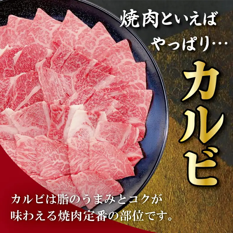 松阪牛 焼肉 （カルビ） 800g 肉 牛 牛肉 和牛 ブランド牛 高級 国産 霜降り 冷凍 ふるさと 人気 焼肉用 BBQ バーベキュー カルビ SS19
