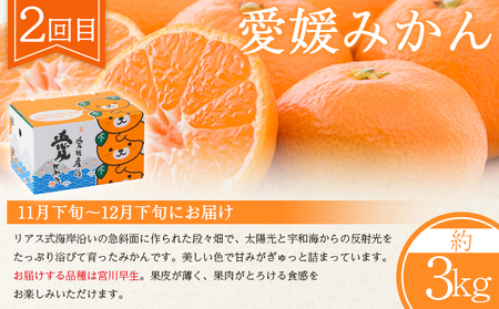 【定期便全3回】紅マドンナジュース・愛媛みかん・谷口農園のいちご（紅い雫） OFA0005